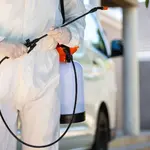 شركة مكافحة الحشرات الشارقة