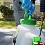 شركة مكافحة الحشرات عجمان