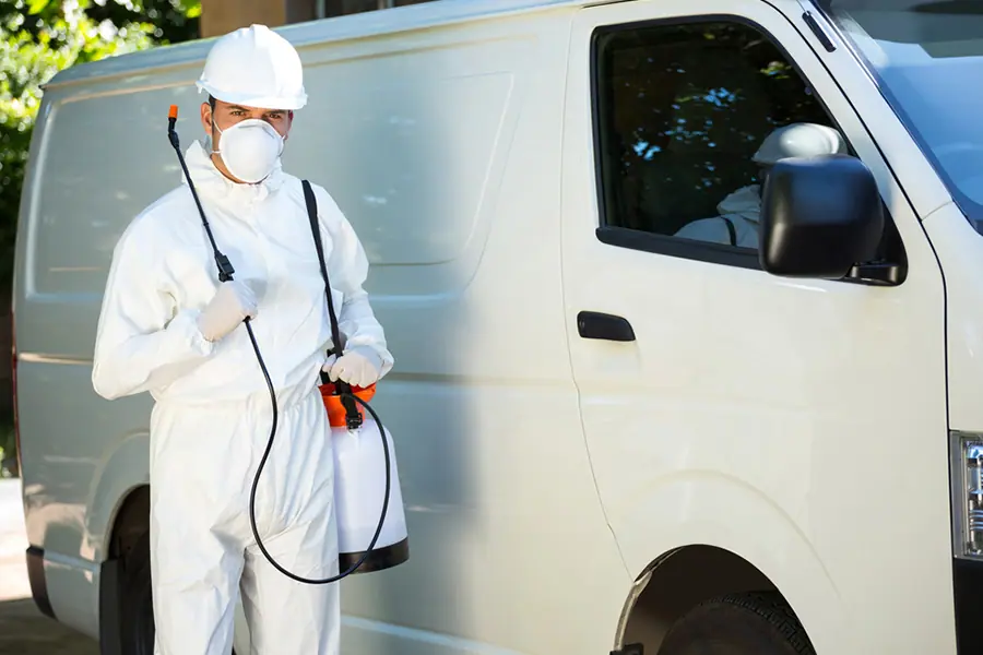 شركة مكافحة الحشرات ابوظبي