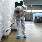 شركة مكافحة الحشرات راس الخيمة