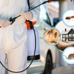 شركة مكافحة الحشرات العين