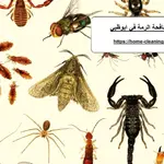 شركة مكافحة الرمة في ابوظبي