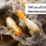 شركة مكافحة الرمة في راس الخيمة