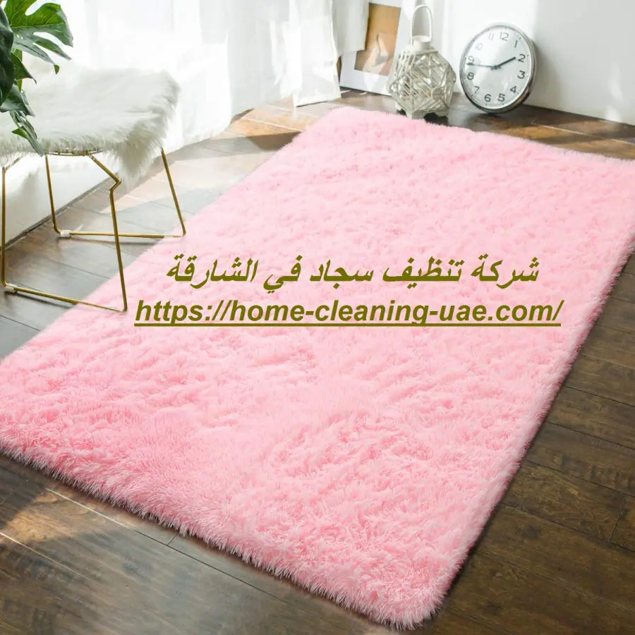 شركة تنظيف سجاد في الشارقة
