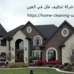 شركة تنظيف فلل في العين