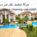 شركة تنظيف فلل في دبي