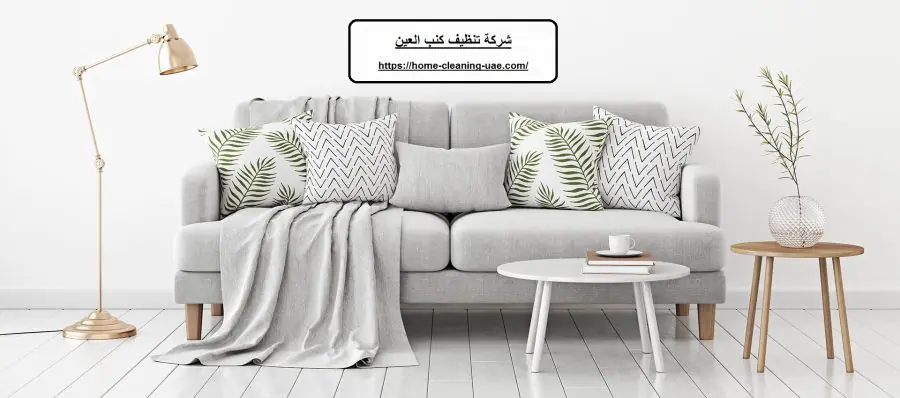 شركة تنظيف كنب العين