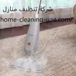 شركة تنظيف منازل في العين