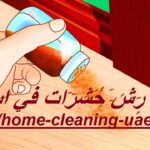 شركة رش حشرات في ابوظبي