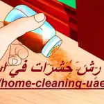 شركة رش حشرات في ابوظبي