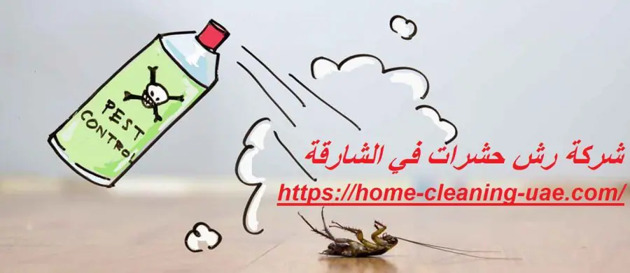 شركة رش حشرات في الشارقة