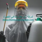 شركة رش حشرات في الفجيرة
