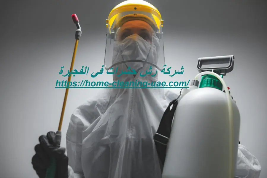 شركة رش حشرات في الفجيرة
