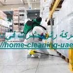 شركة رش حشرات في دبي