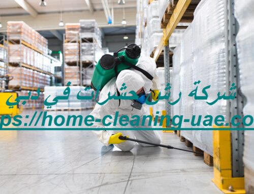 شركة رش حشرات في دبي |0569240297| رش مبيدات