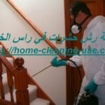 شركة رش حشرات في راس الخيمة