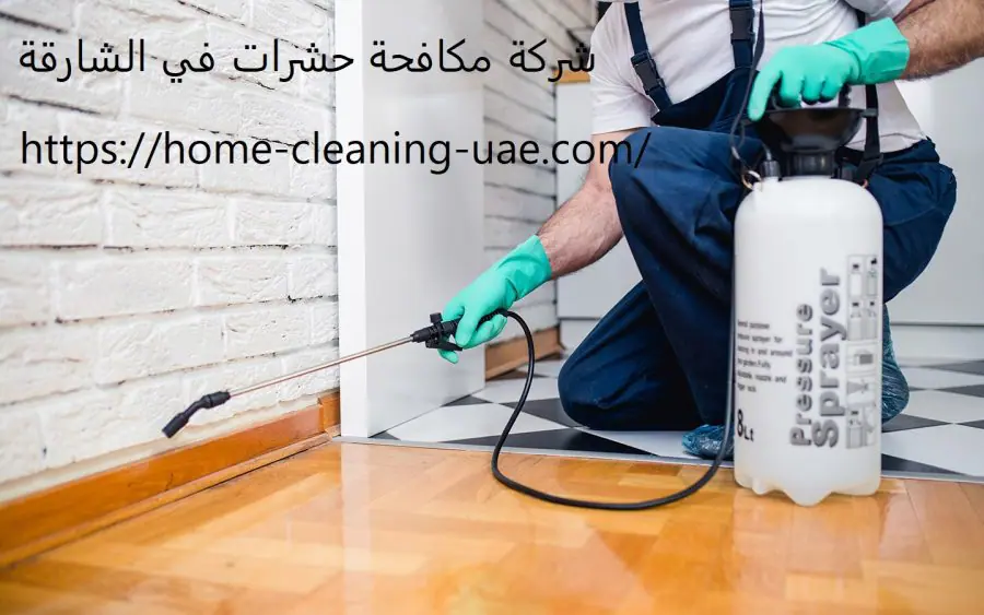 شركة مكافحة الحشرات في الشارقة