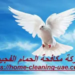 شركة مكافحة الحمام الفجيرة