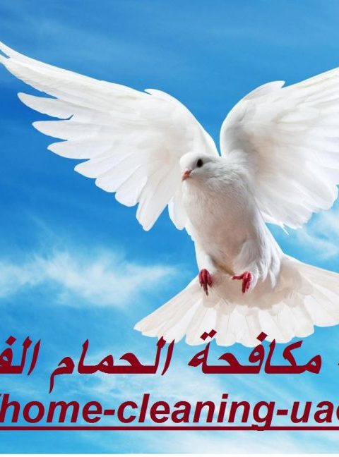 شركة مكافحة الحمام الفجيرة