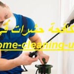 شركة مكافحة حشرات في العين