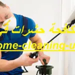 شركة مكافحة حشرات في العين