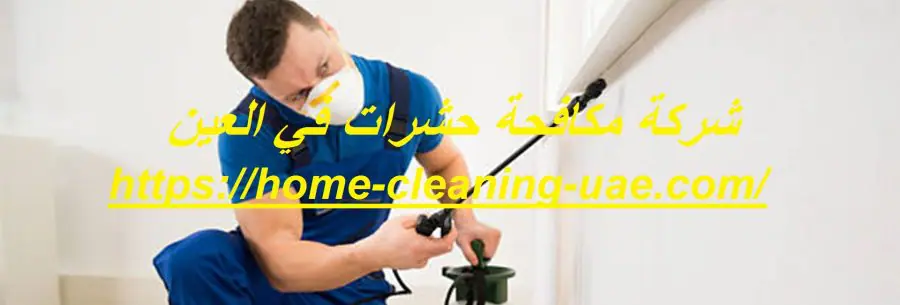 شركة مكافحة حشرات في العين