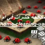 شركة مكافحة حشرات في ام القيوين