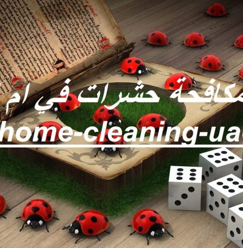 شركة مكافحة حشرات في ام القيوين