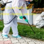 شركة مكافحة حشرات في دبي