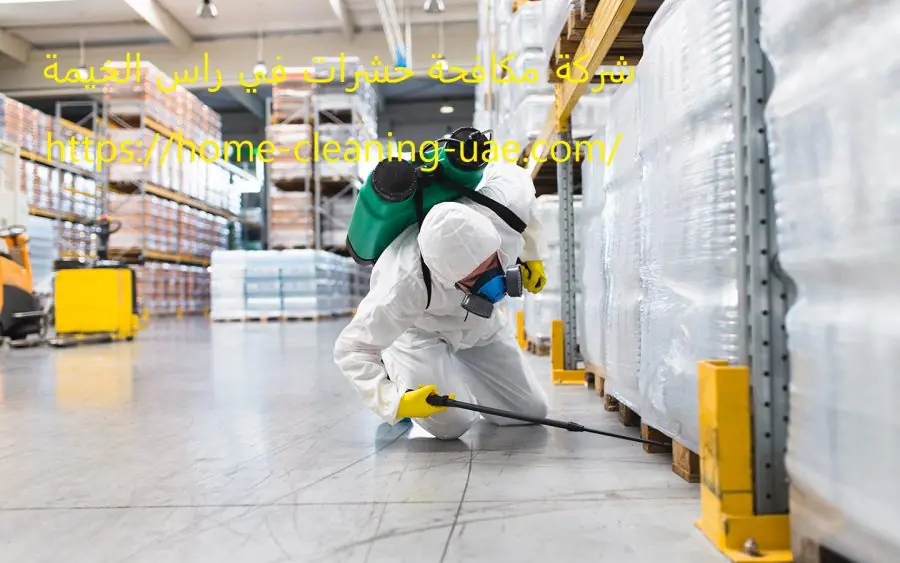 شركة مكافحة حشرات في راس الخيمة