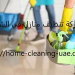 شركةتنظيف منازل في الشركة