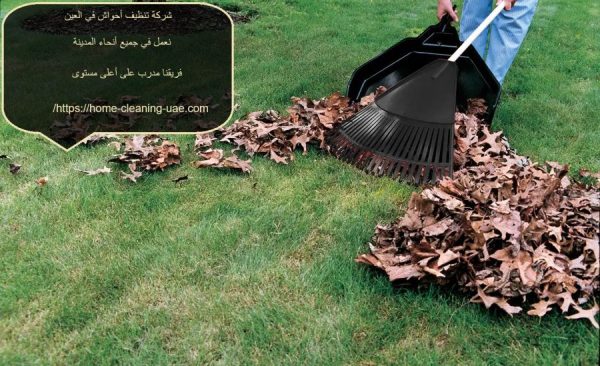 شركة تنظيف أحواش في العين