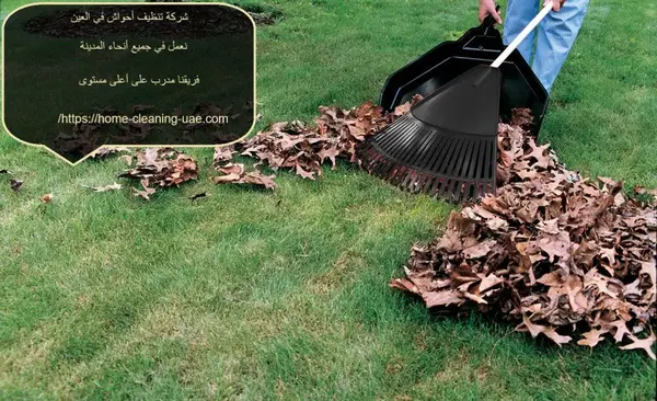 شركة تنظيف أحواش في العين