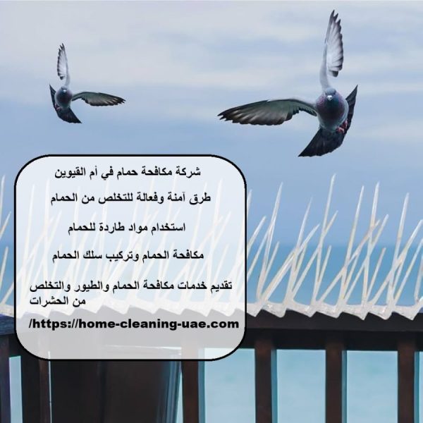شركة مكافحة حمام في أم القيوين