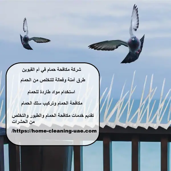 شركة مكافحة حمام في أم القيوين