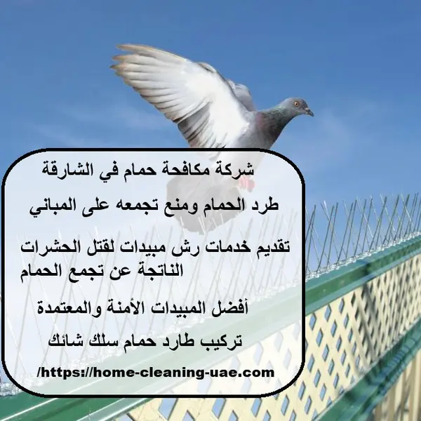 شركة مكافحة حمام في الشارقة