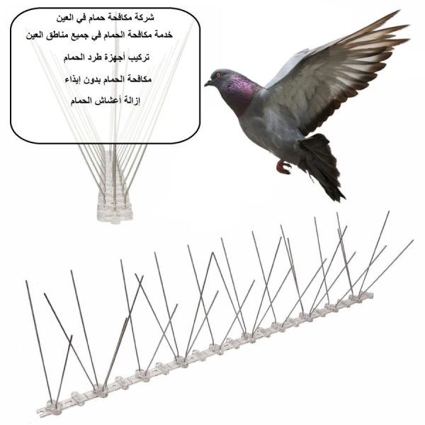 شركة مكافحة حمام في العين