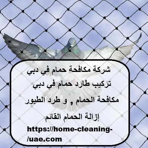 شركة مكافحة حمام في دبي